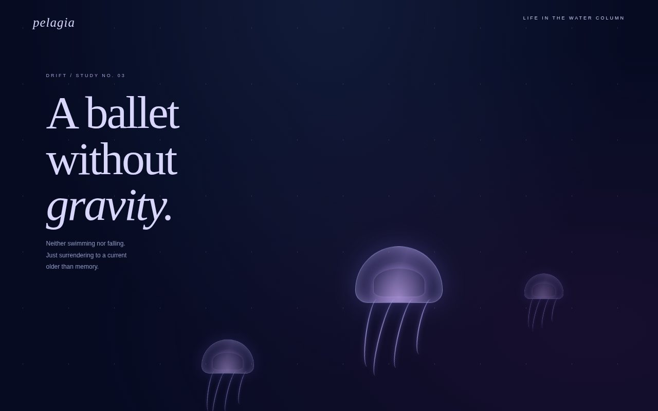 Pelagia — three translucent jellyfish drifting in midnight indigo, built entirely in CSS.
