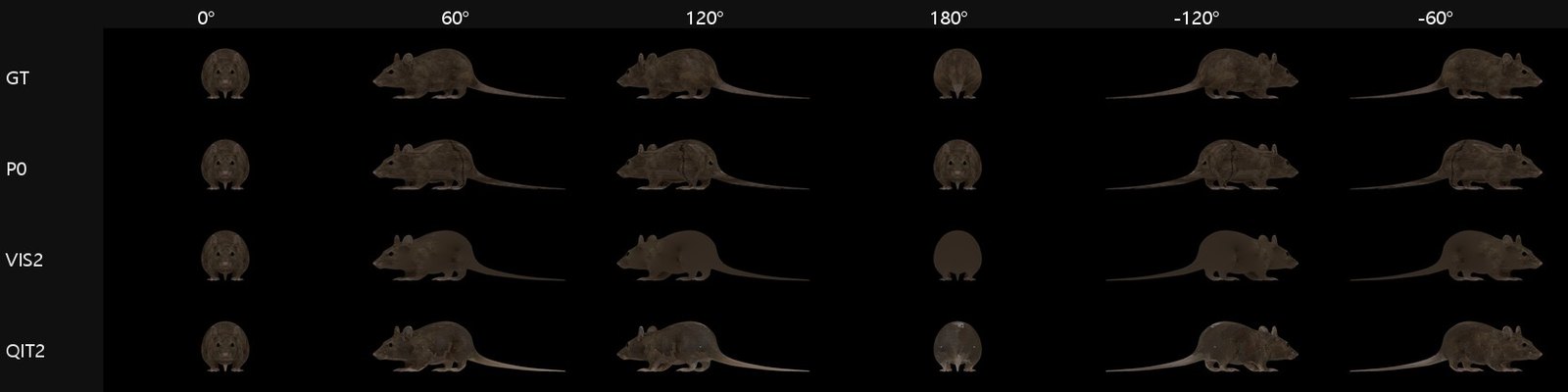Rat: ground truth versus three methods